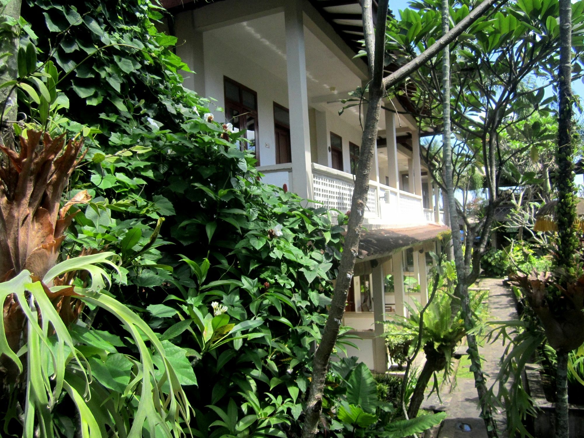 Casa Ganesha Hotel Ubud Extérieur photo